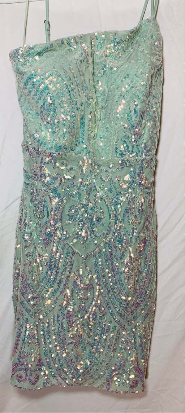 NWT Windsor Mint Dress